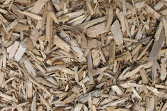 biomass boilers Reddingmuirhead